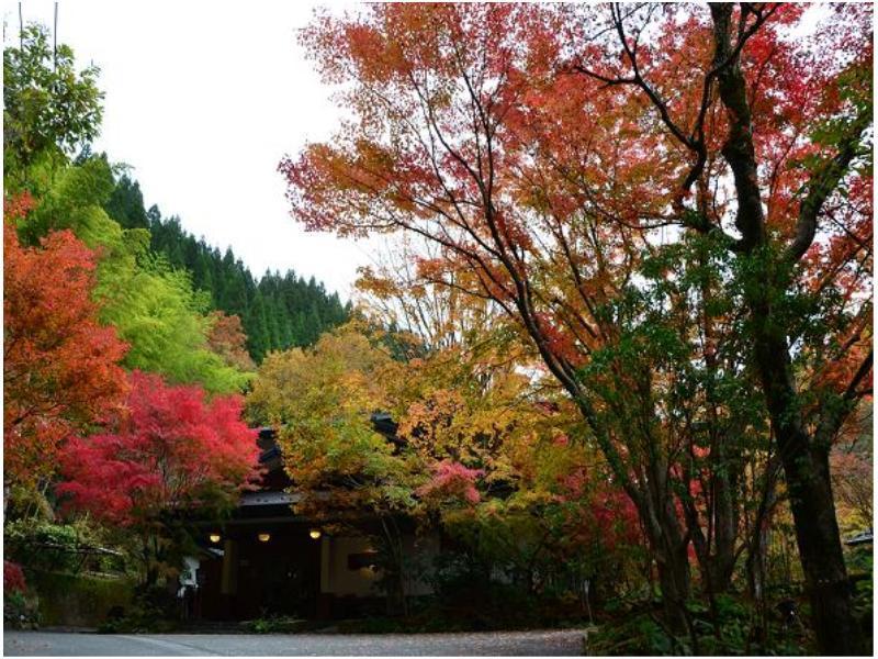 Ryokan Okunoyu Минамиогуни Экстерьер фото