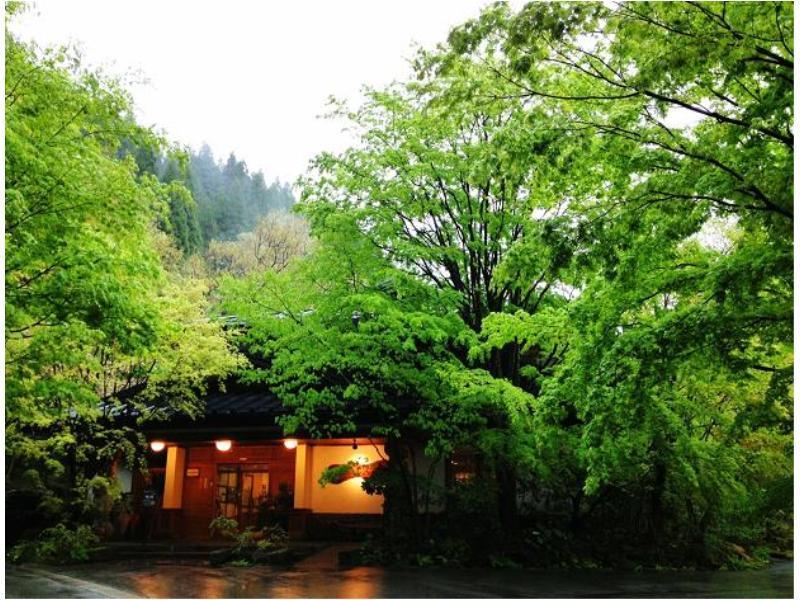 Ryokan Okunoyu Минамиогуни Экстерьер фото