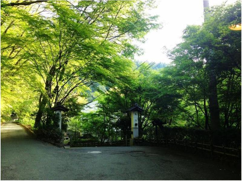 Ryokan Okunoyu Минамиогуни Экстерьер фото