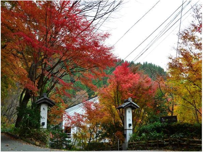 Ryokan Okunoyu Минамиогуни Экстерьер фото
