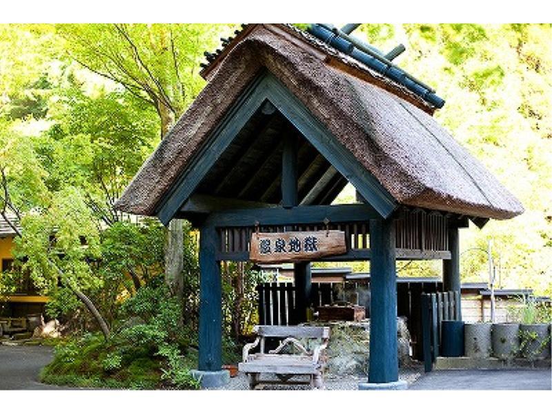 Ryokan Okunoyu Минамиогуни Экстерьер фото